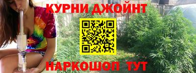 прущие грибы Краснодар