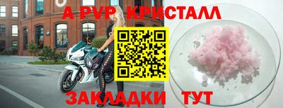 прущие грибы Краснодар