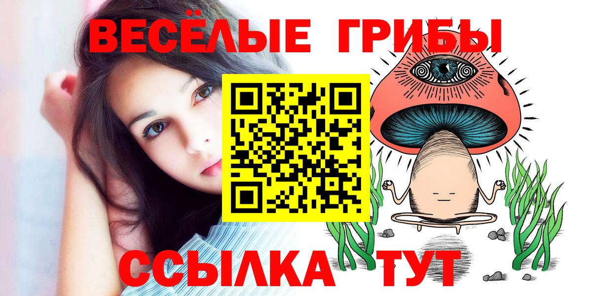 Галлюциногенные грибы Psilocybe Канаш