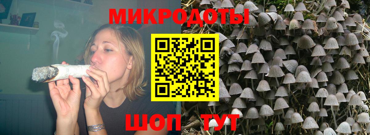 магазин продажи наркотиков  Псилоцибиновые грибы прущие грибы  Вход с VPN  Галлюциногенные грибы мицелий  Канаш 